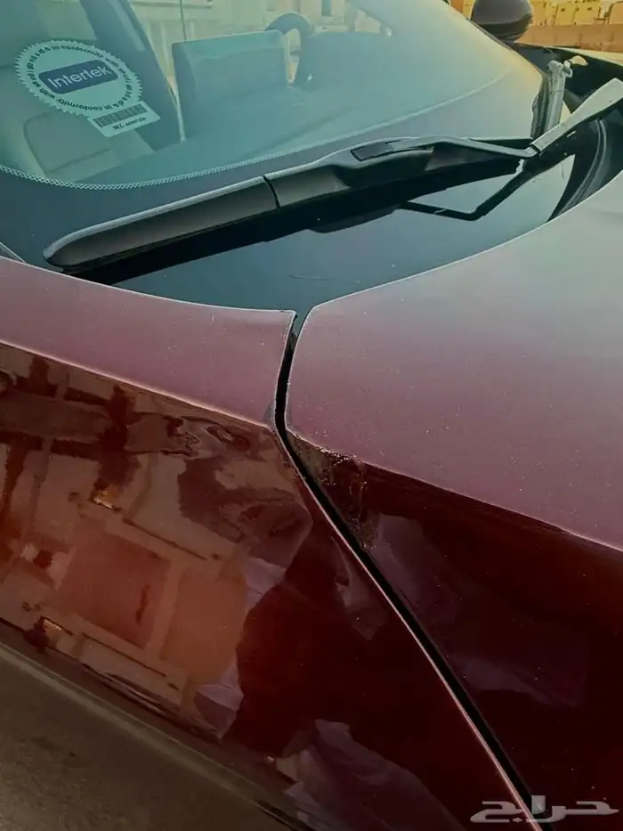 التيما SV 2023 6