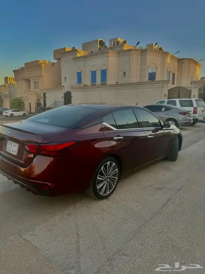 التيما SV 2023 1