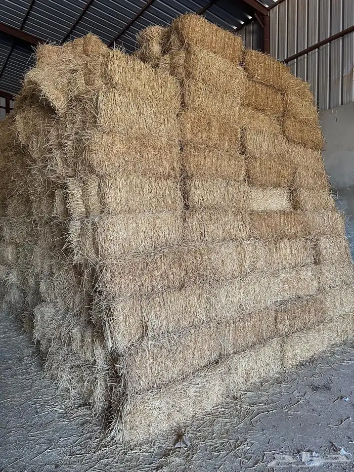 تبن قمح مستودع 0