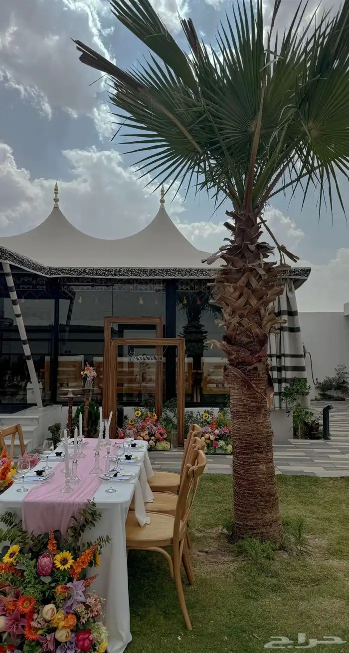 خيام الصقور الملكية 10