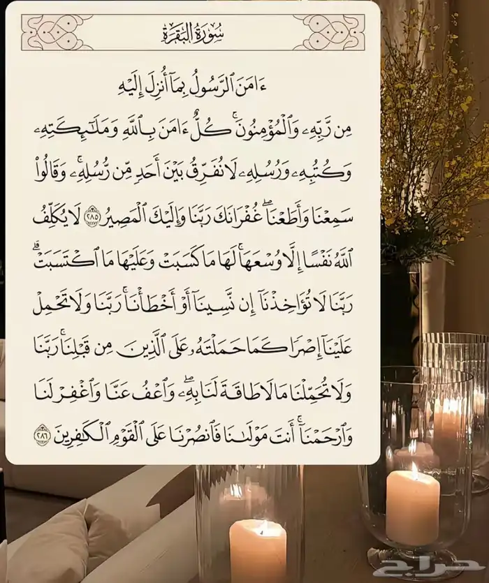 اي وحد عنده سيارة جديده يبي يقصدها 0