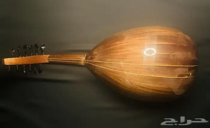 عود موسيقي حجم صغير فئة متوسطة وظهر مبطط مضغوط جديد للبيع 6