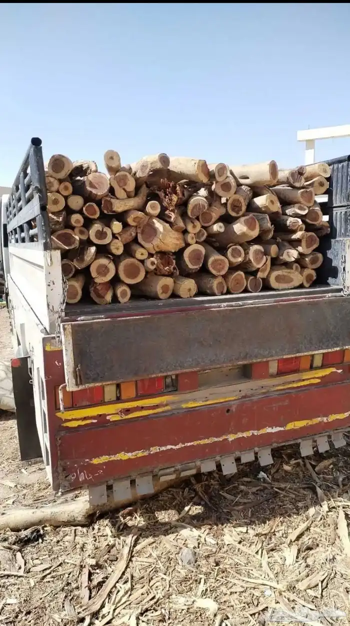 حطب سمر المدينه 2