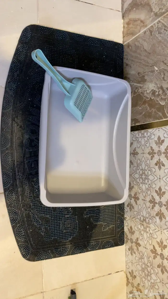 اغراض قطط للبيع مستعجل 2