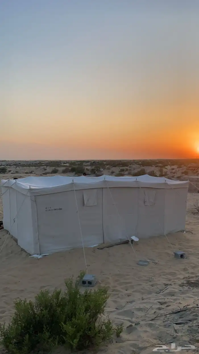 خيمه 6 4 ثنين غاط الون اصفر 0