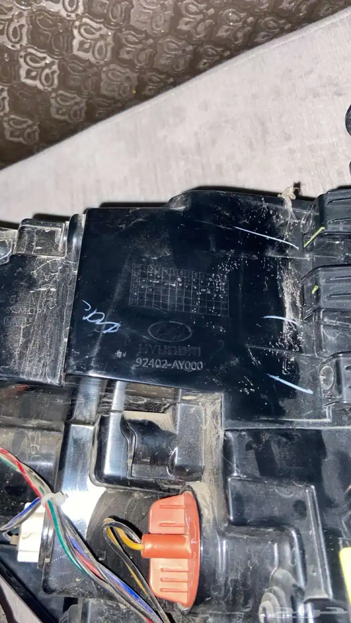 اسطب اكسنت 2025 - 2024 يمين 1