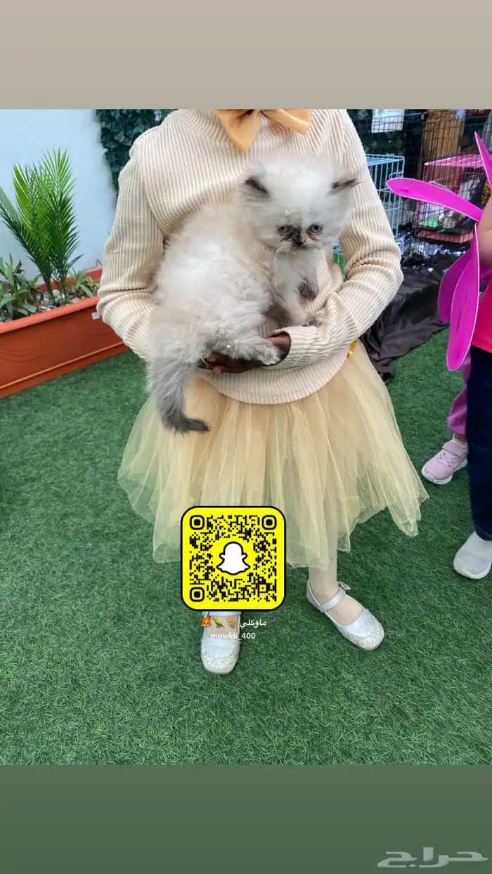 ايجار حديقه حيوانات فعاليات ومناسبات 6