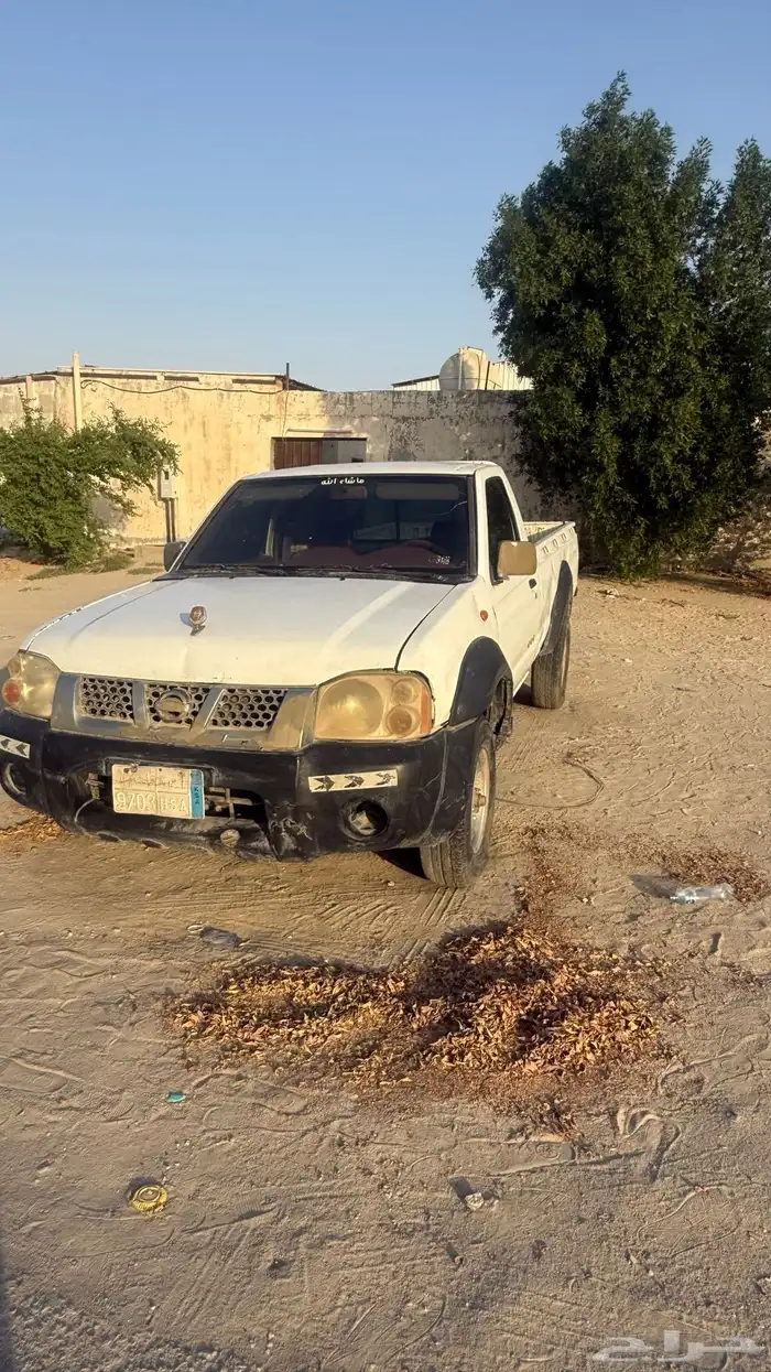 ددسن دبل شاص طويل 6
