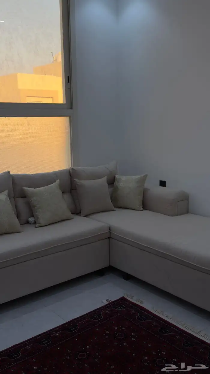 كنب L جديد له اسبوع 2