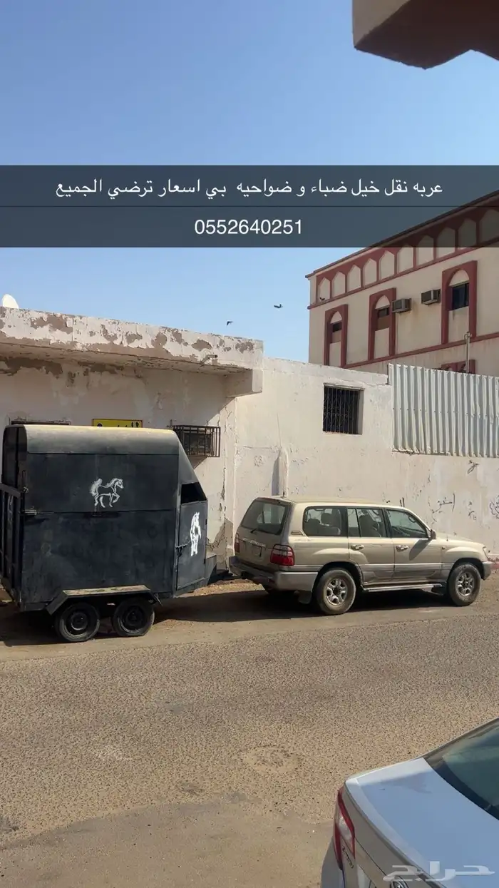 عربة لنقل الخيل ضباء ولمناطق المجاوره لها 0