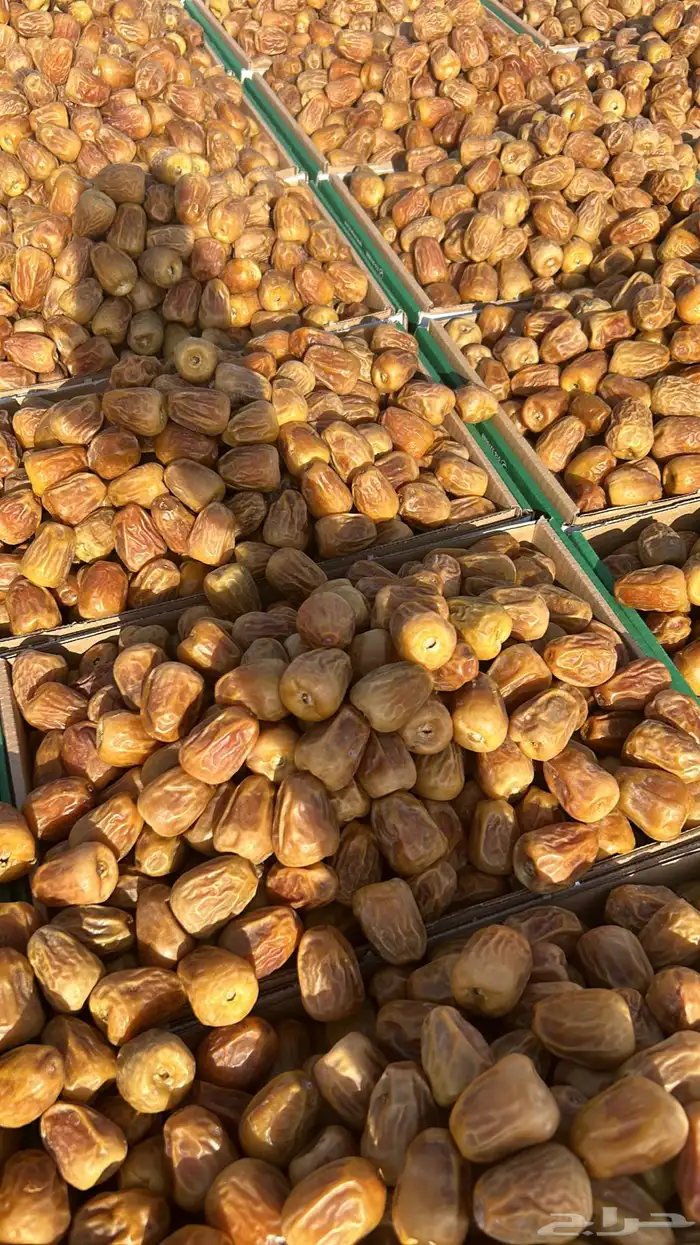 أفخر تمور القصيم ملكي 5