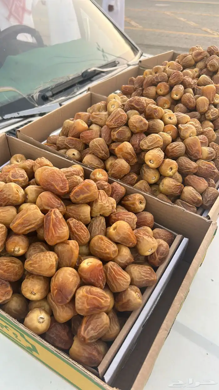 أفخر تمور القصيم ملكي 9