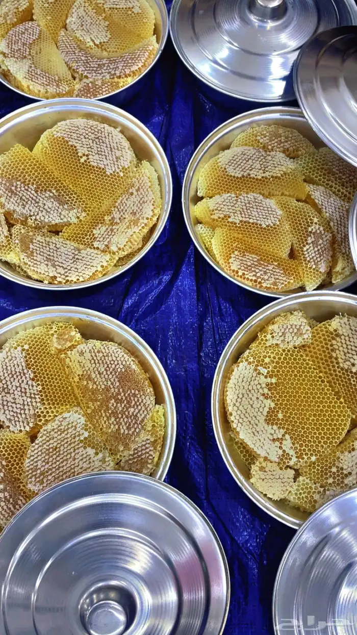 عسل سدر الحجاز 6