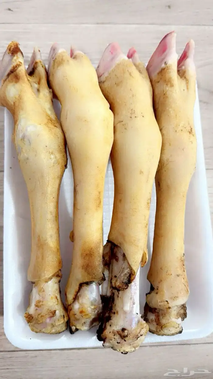 ذبايح حايل 11