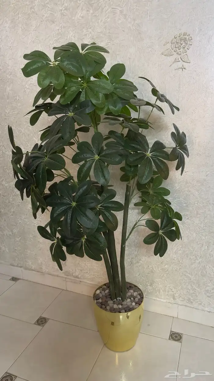 دولاب   تسريحه   اشجار صناعيه   مرايا 3