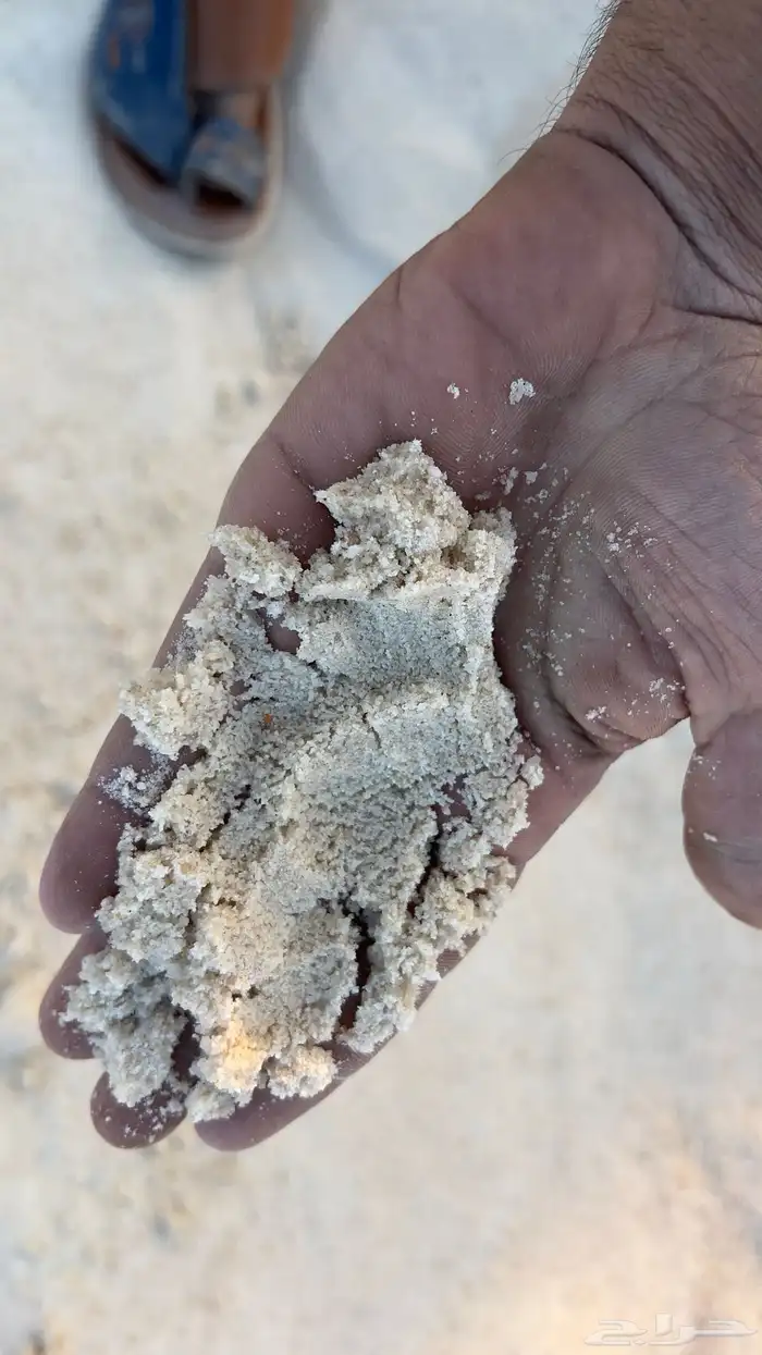 بطحاء الرياض لياسه صندوق كبير 4