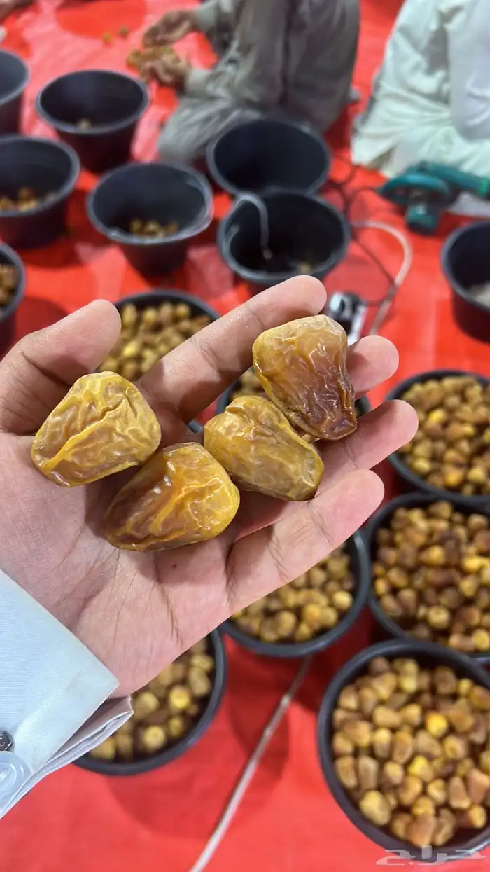 أفخر تمور القصيم ملكي 22