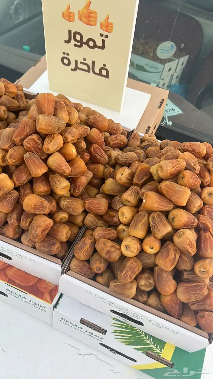 أفخر تمور القصيم ملكي 7