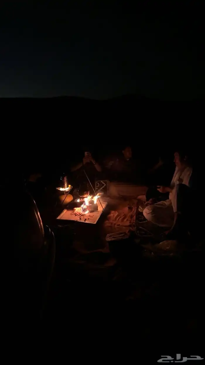 حطب   مستورد 7