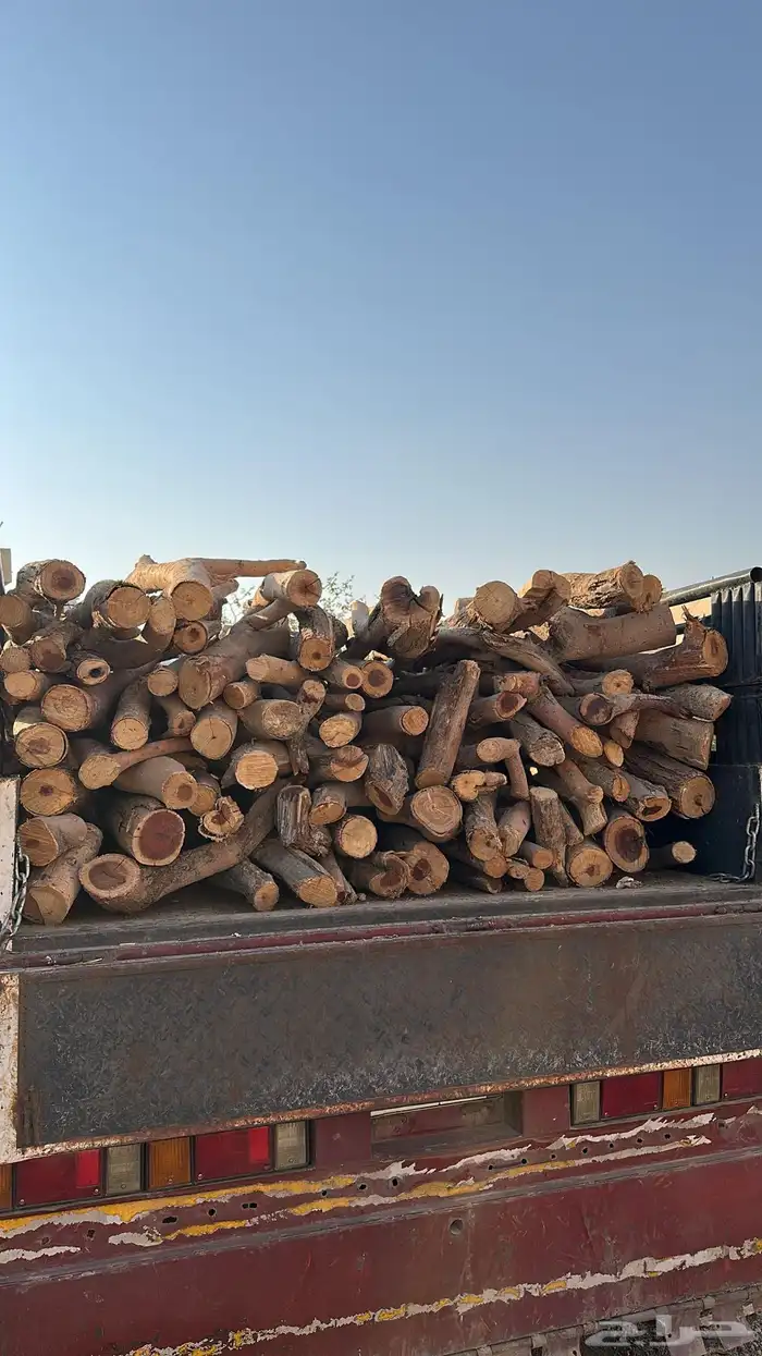 حطب سمر المدينه 3