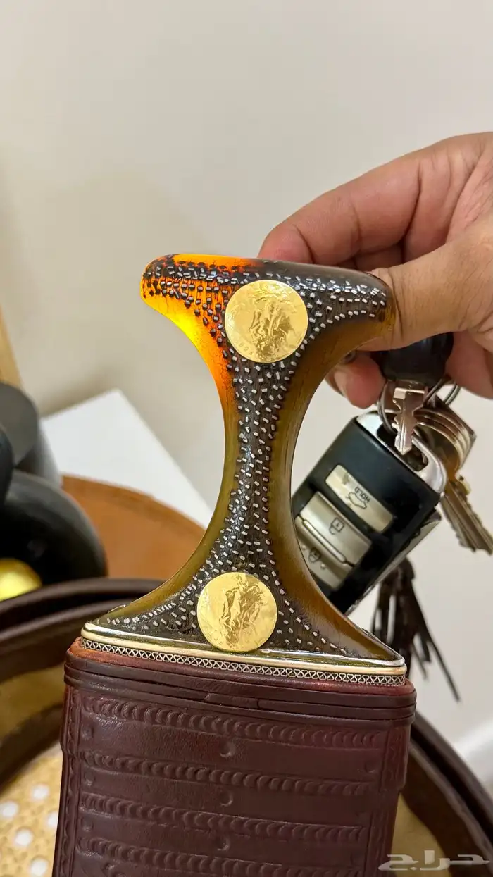 صنعاني زراف وافيه ونادره 2