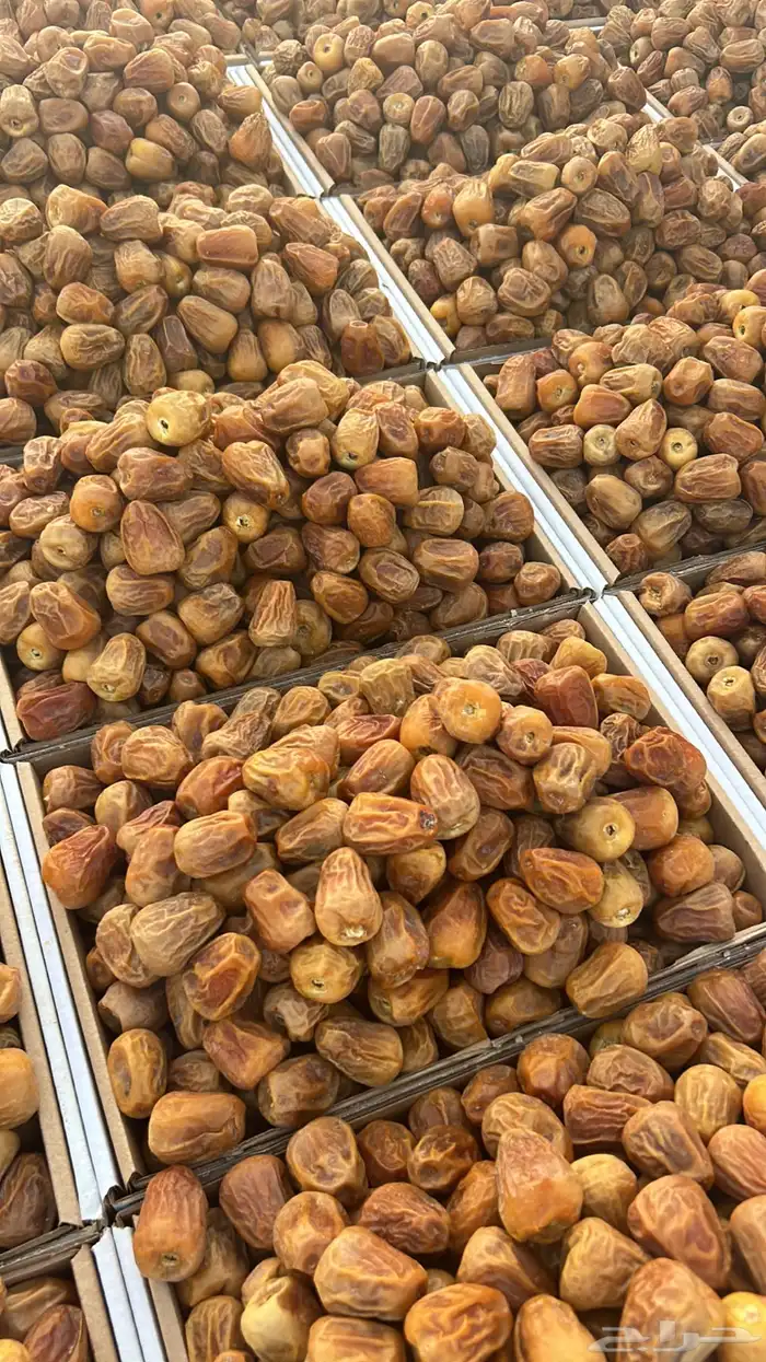 أفخر تمور القصيم ملكي 1