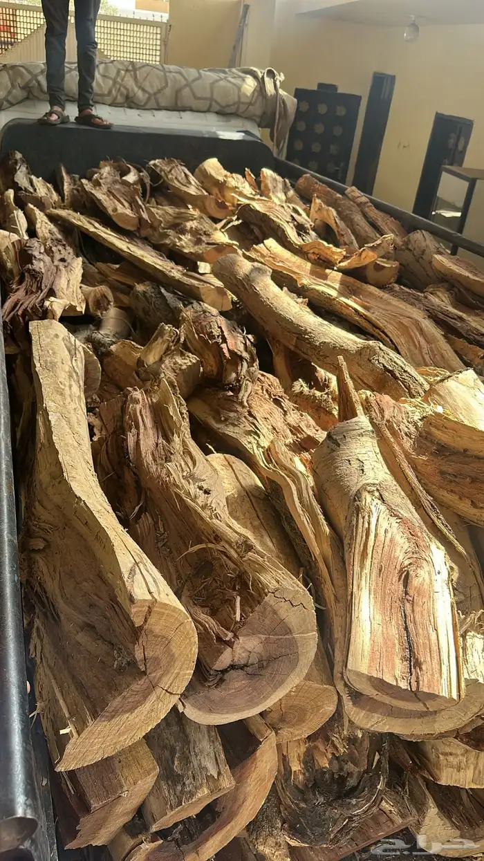 دينه للبيع ش ل ي خ ل 9