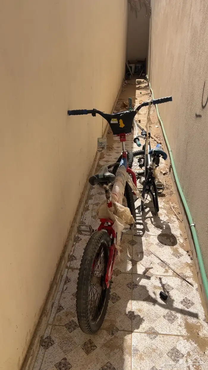 سياكل كوبرا للبيع ع السوم 0