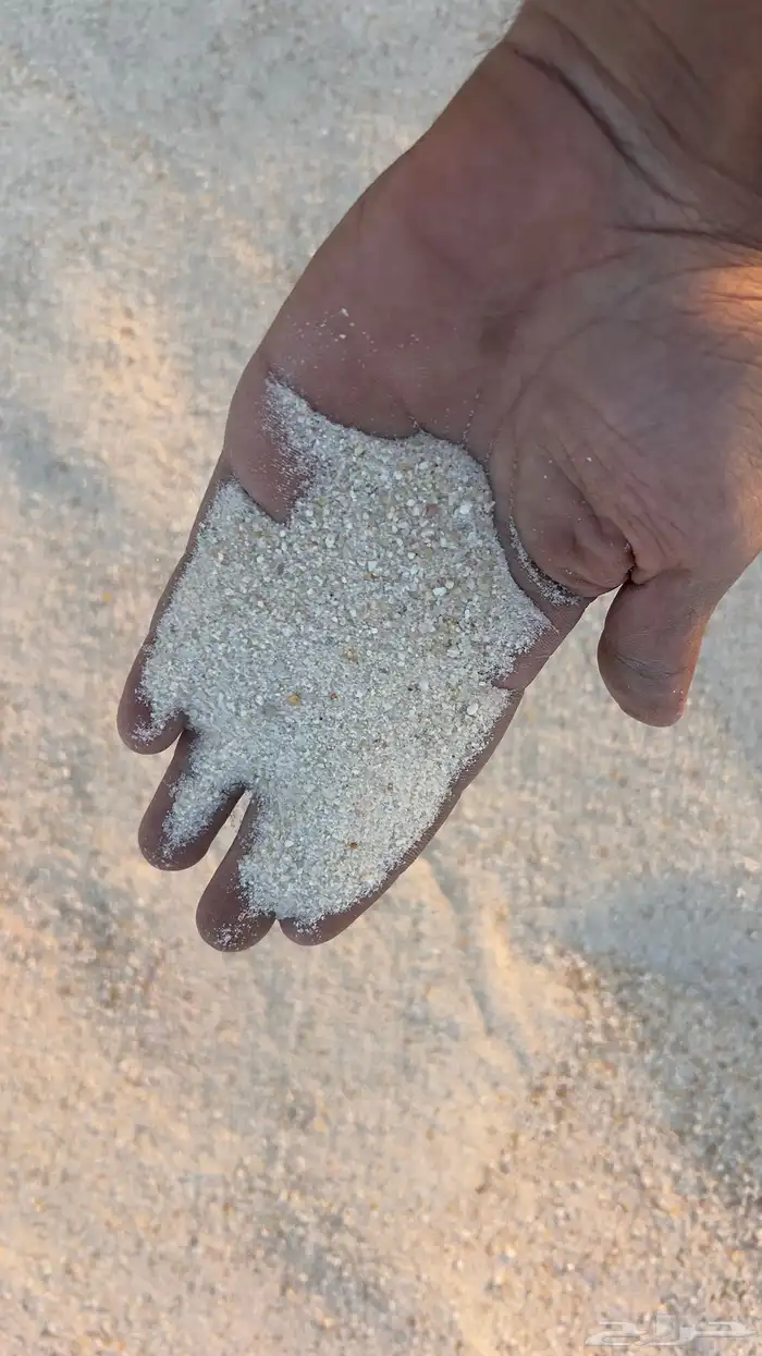 بطحاء الرياض لياسه صندوق كبير 2