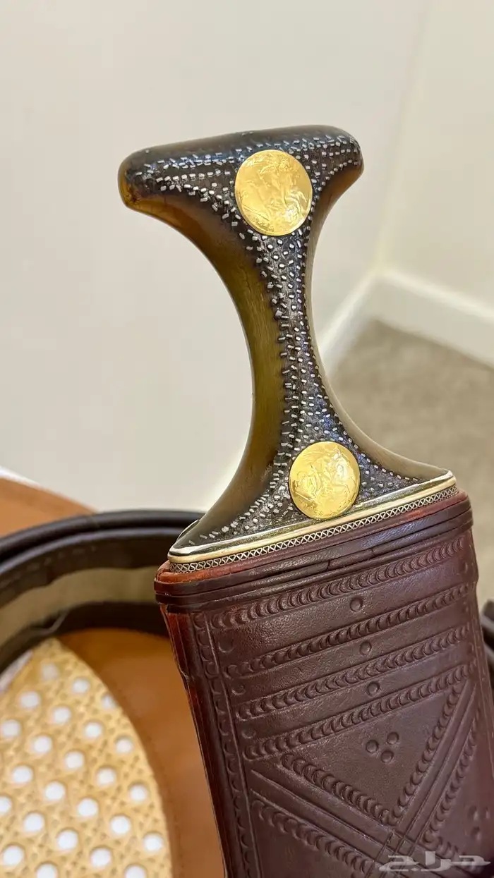 صنعاني زراف وافيه ونادره 13