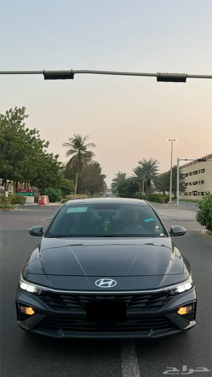 النترا 2024 ستاندر مطور كوري 2