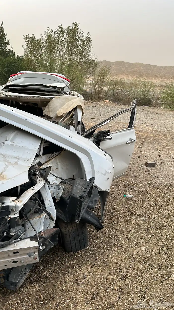 للبيع فلون2022 1