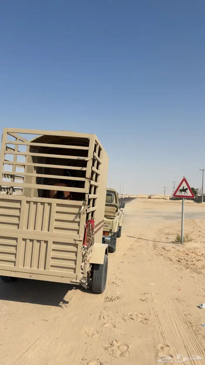 عربه خيل للبيع 3