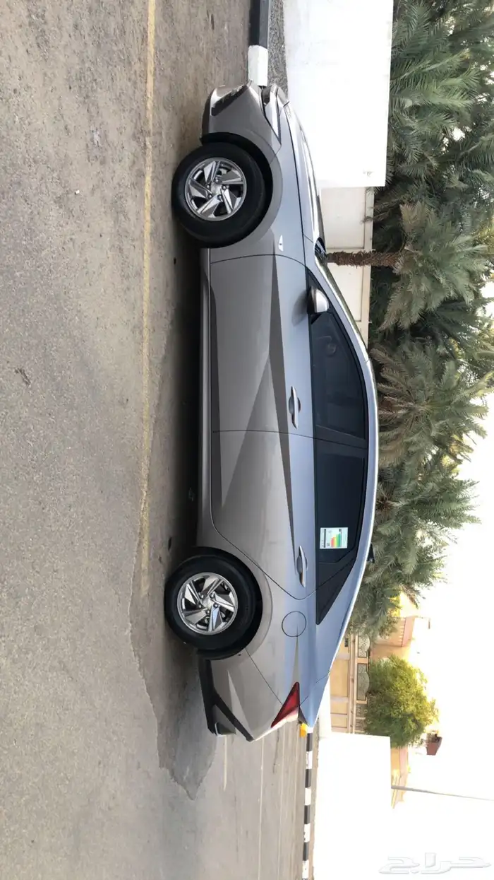 النترا 2024 6