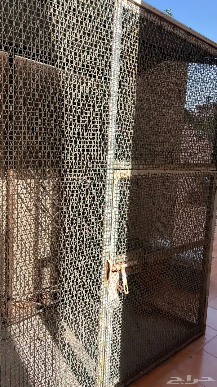 قفص طيور 1