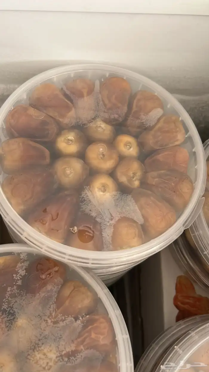 أفخر تمور القصيم ملكي 24