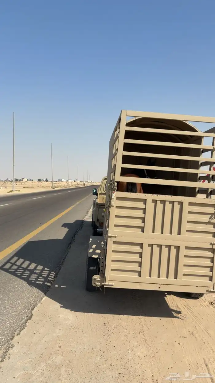 عربه خيل للبيع 5