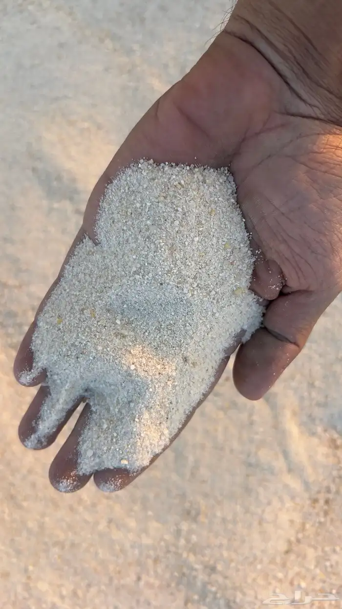 بطحاء الرياض لياسه صندوق كبير 8