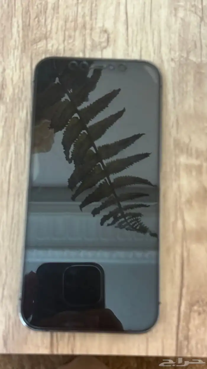 جوال ايفون 12 Pro 1