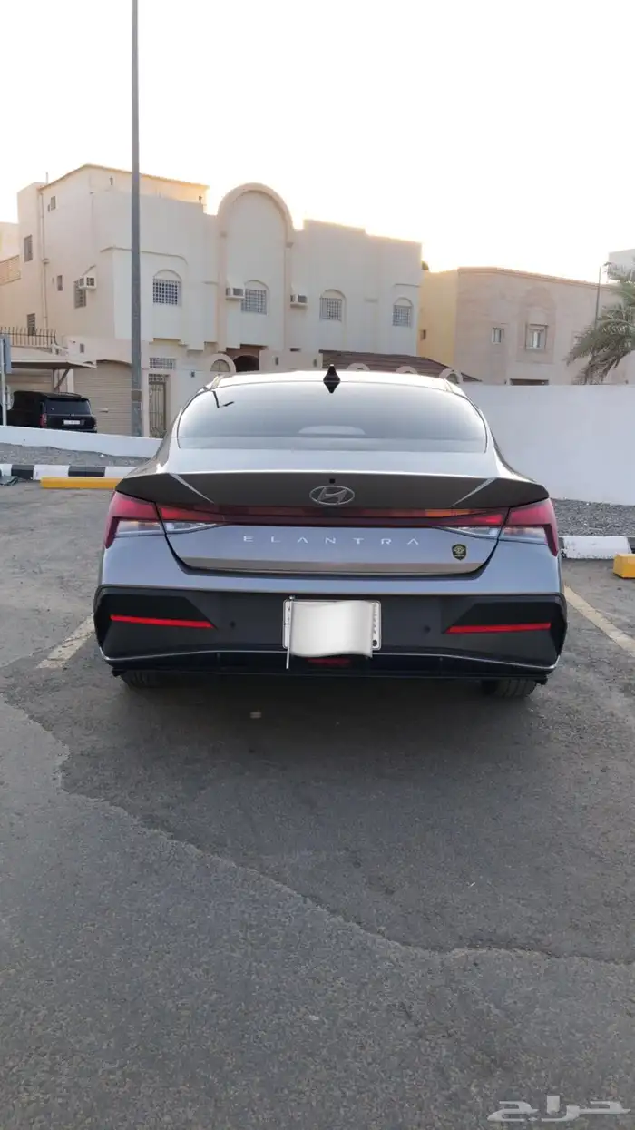 النترا 2024 3