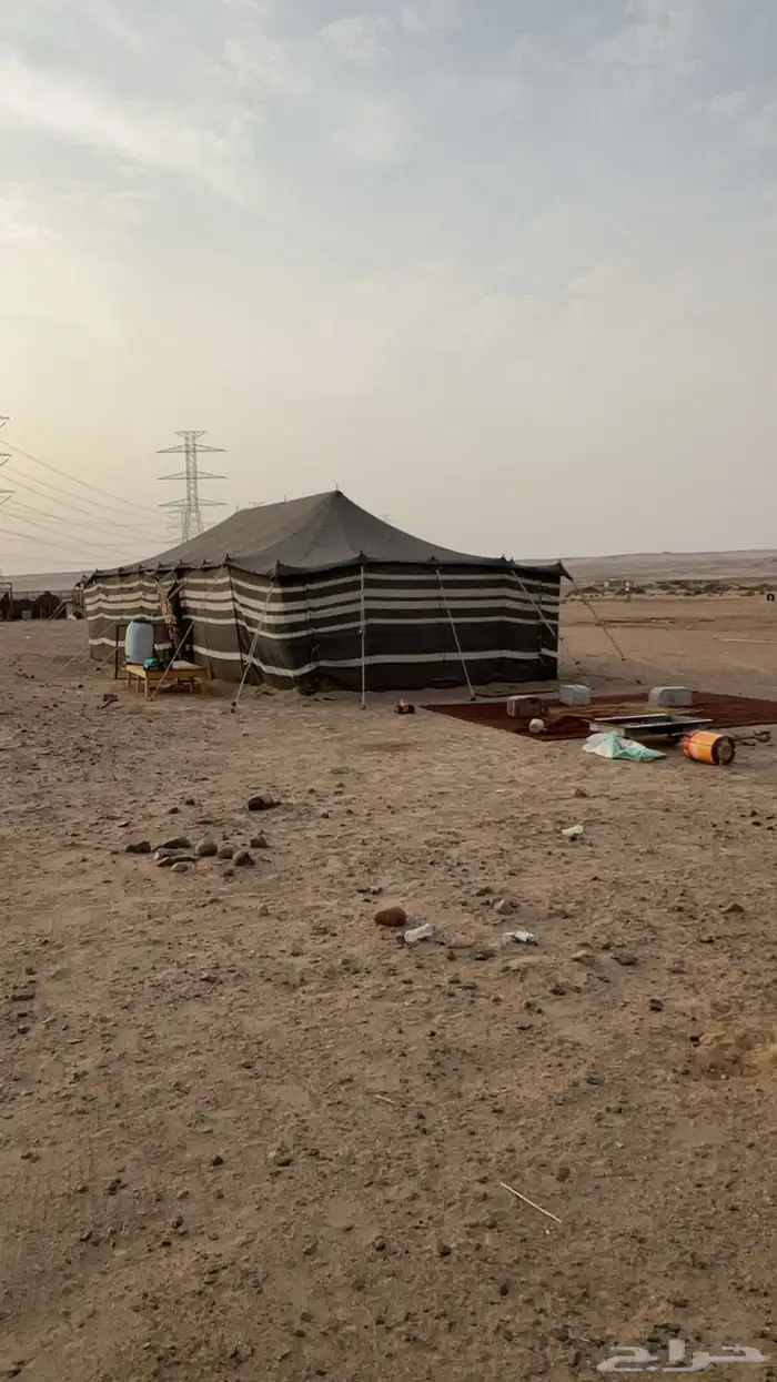 بيت شعر 13 6 3