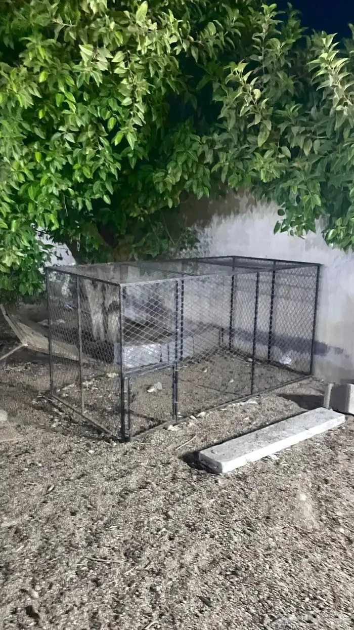 شبك دجاج للبيع 0