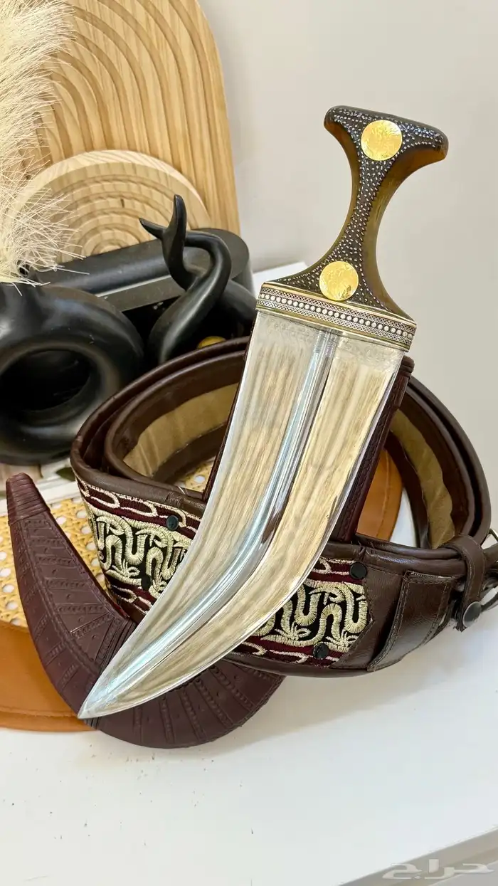 صنعاني زراف وافيه ونادره 5