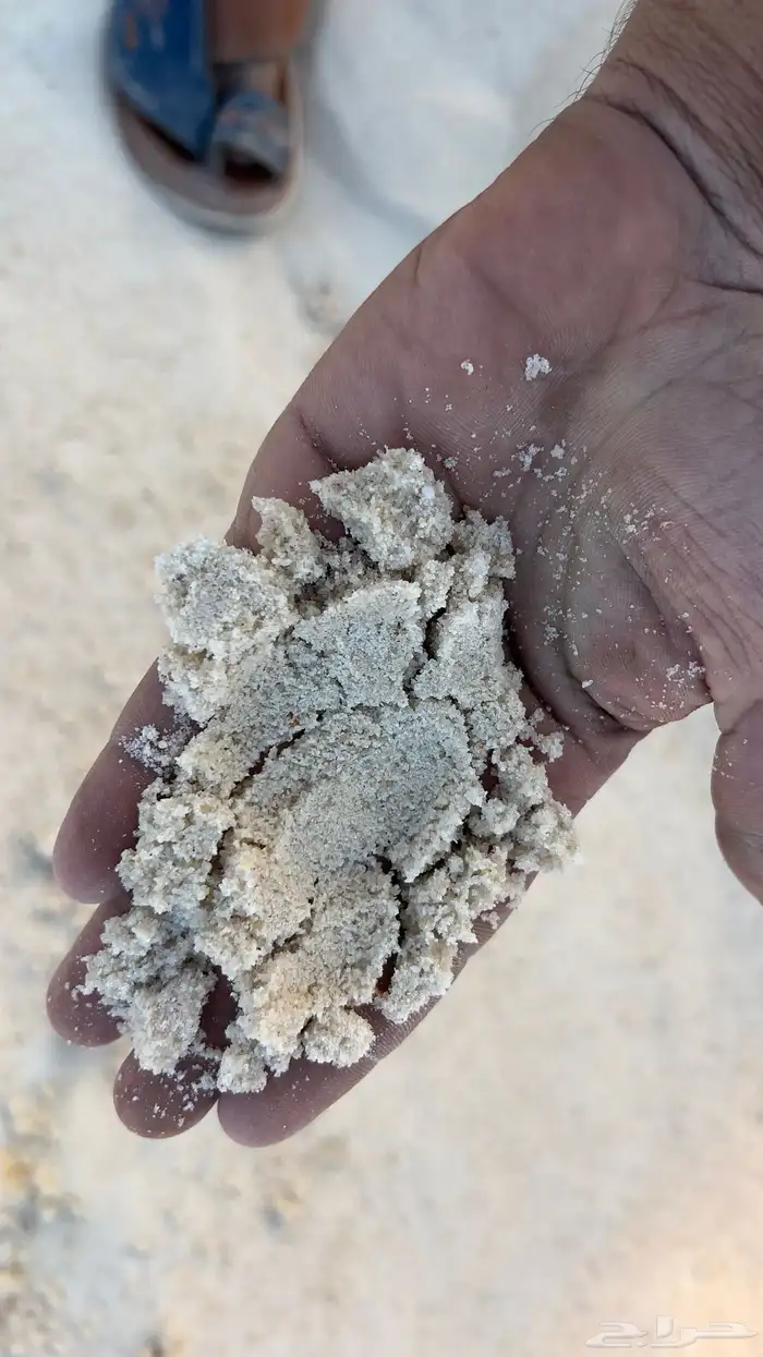 بطحاء الرياض لياسه صندوق كبير 1