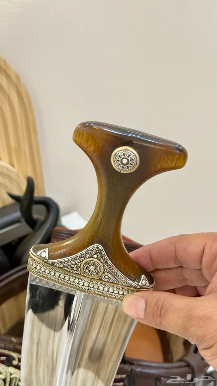 صنعاني زراف وافيه ونادره 11