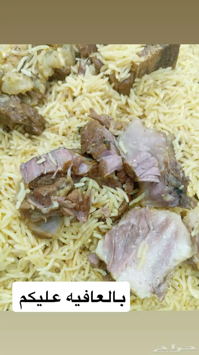 حشو ف اخر وحريات وتيوس ذبح يومي 8