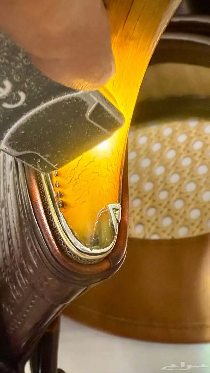 صنعاني زراف وافيه ونادره 17