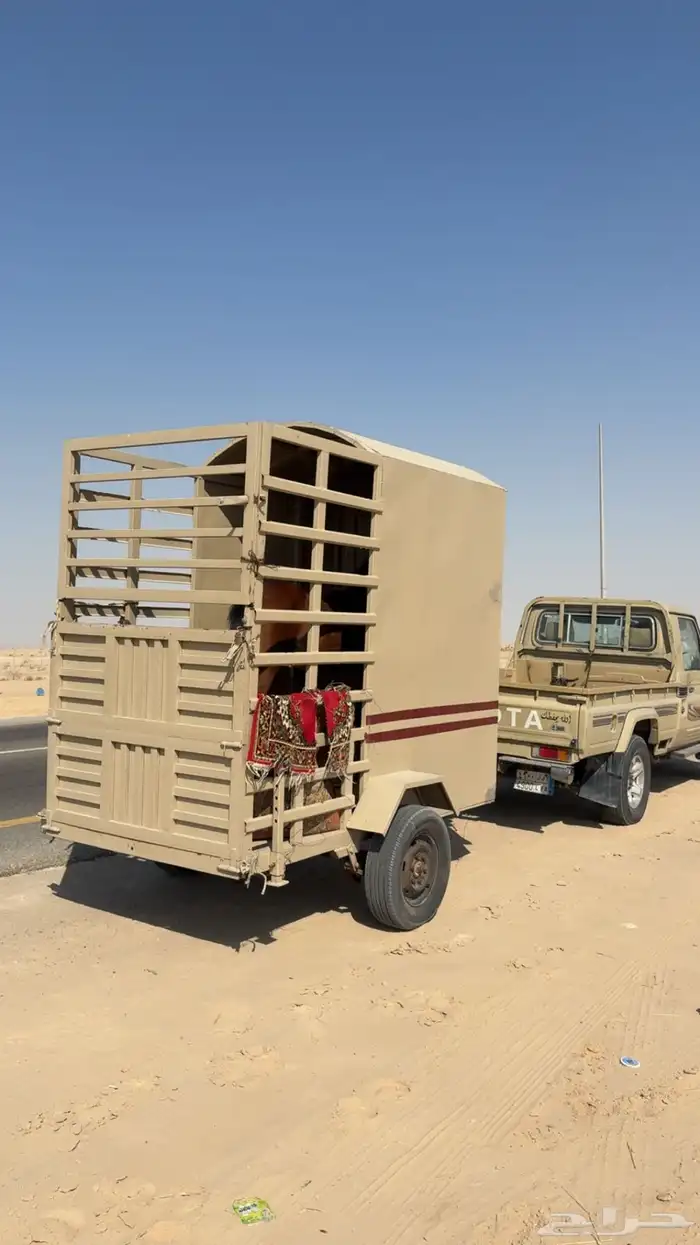 عربه خيل للبيع 2
