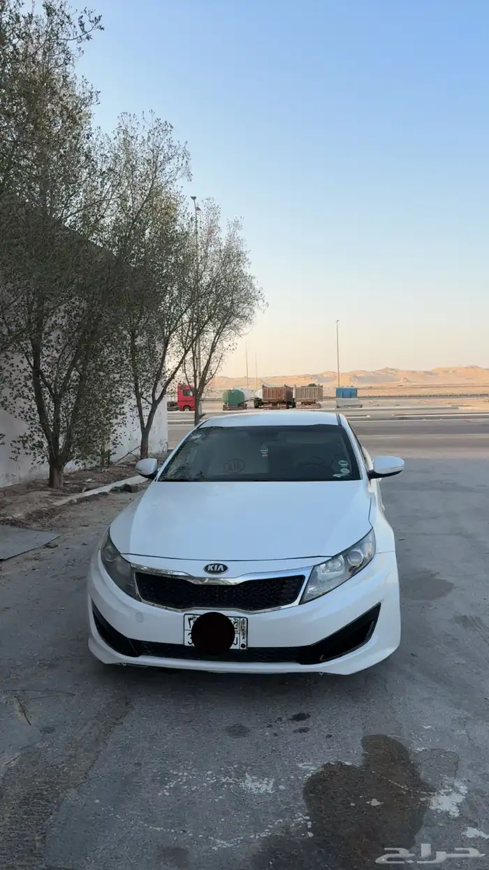 اوبتيما 2013 16