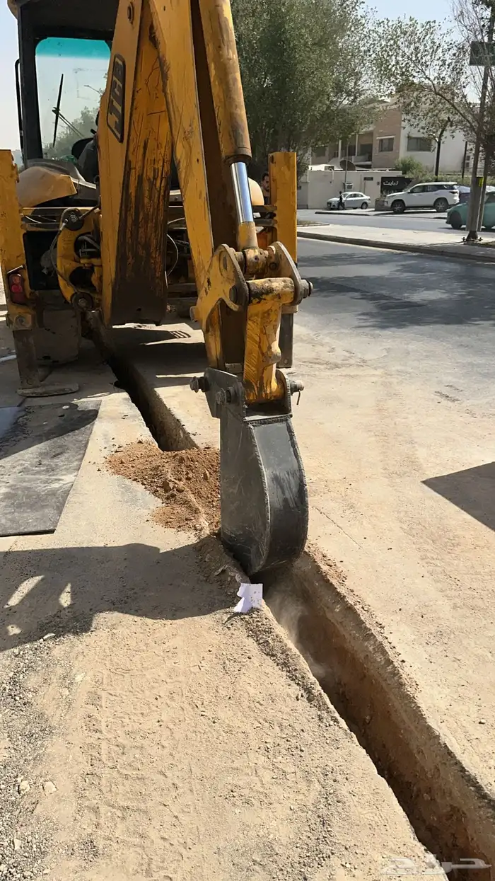 للبيع عرجاء 2006 9